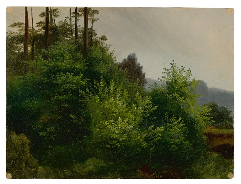 Auf diesem Bild ist das folgende Kunstwerk zu sehen:  Dresden, um 1850. Am Waldesrand.