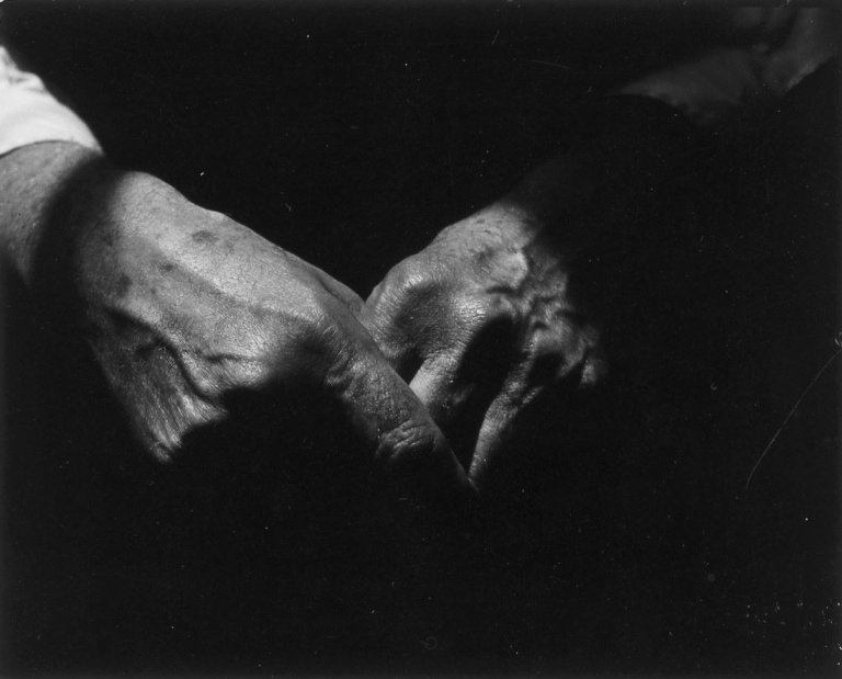 Auf diesem Bild ist das folgende Kunstwerk zu sehen: Dorothy Norman. Alfred Stieglitz – Hands. 1935.
