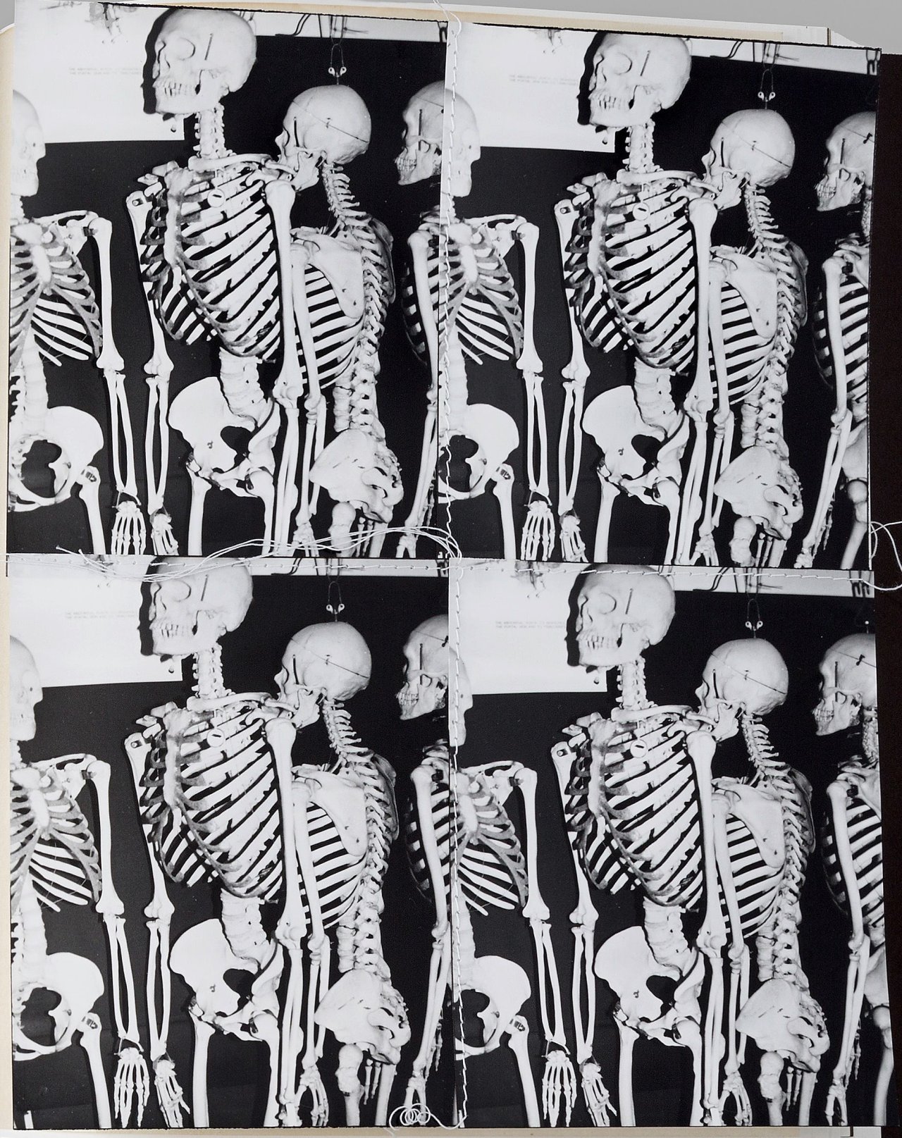 Auf diesem Bild ist das folgende Kunstwerk zu sehen: Andy Warhol. „Photo Edition for Parkett“. 1987.