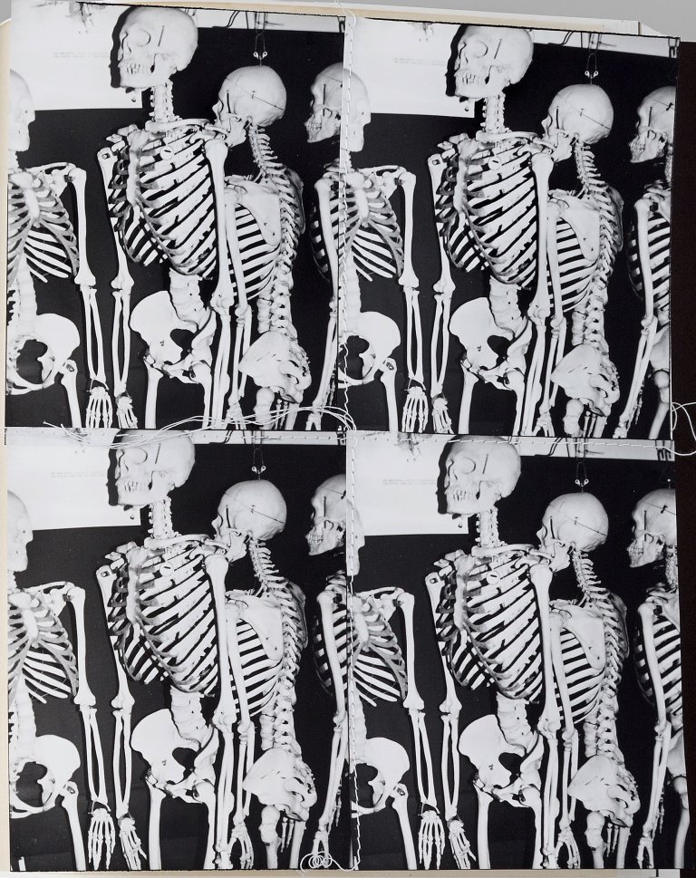 This picture shows the following artwork: Andy Warhol. ”Photo Edition for Parkett”. 1987.