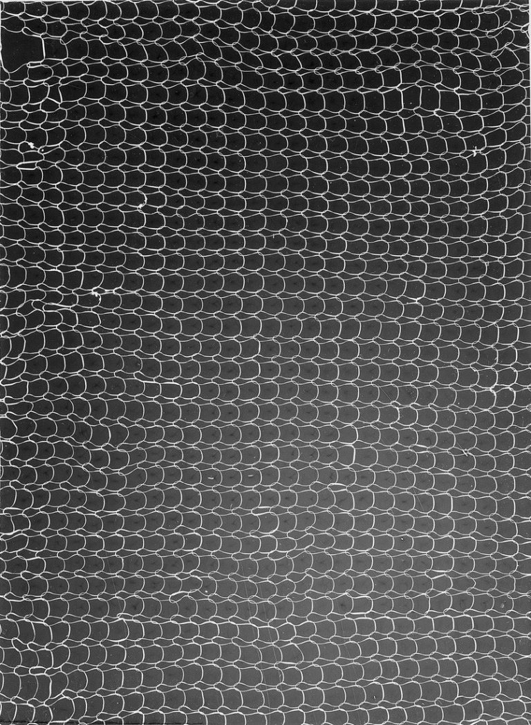 Auf diesem Bild ist das folgende Kunstwerk zu sehen:  Umbo (d.i. Otto Umbehr). Ohne Titel (Netz). 1950er Jahre.