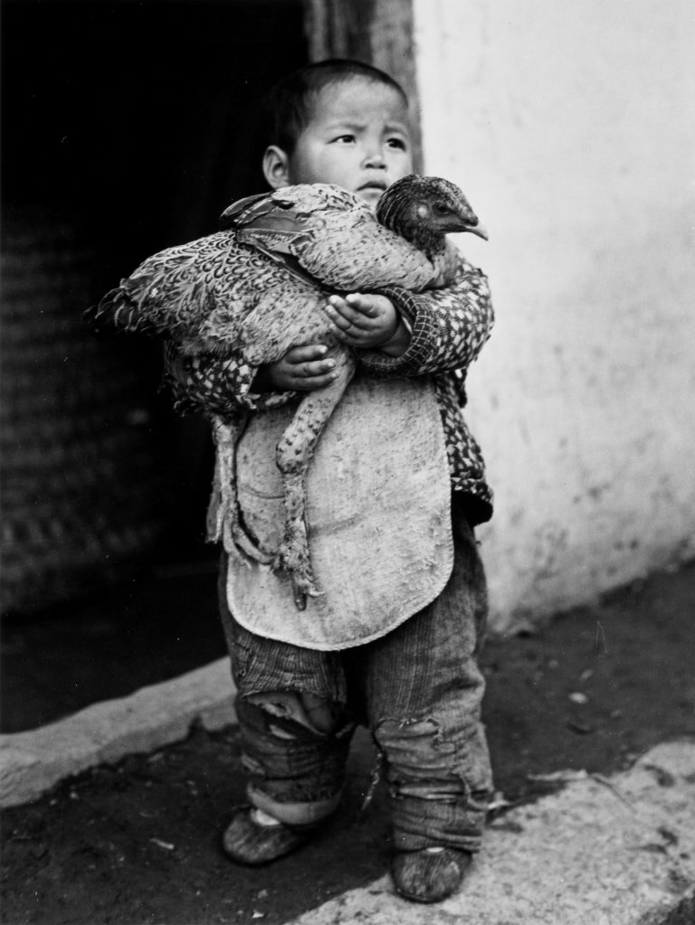 Auf diesem Bild ist das folgende Kunstwerk zu sehen: Arthur Rothstein. Boy with chicken, China. 1945.