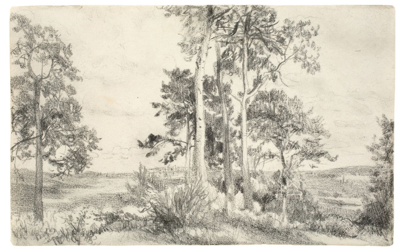 Auf diesem Bild ist das folgende Kunstwerk zu sehen: Adolph Menzel. Landschaft mit Baumgruppe im Vordergrund. 1850er Jahre.