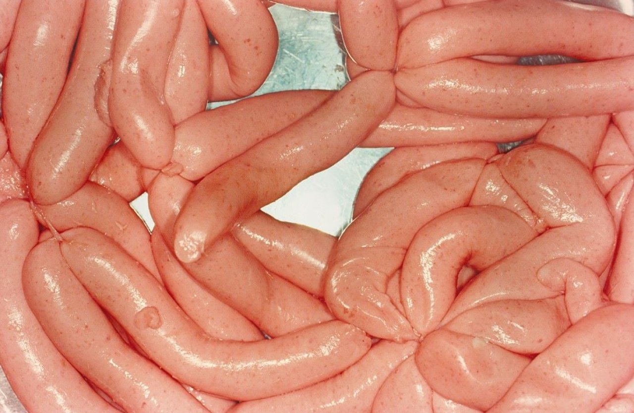 Auf diesem Bild ist das folgende Kunstwerk zu sehen: Martin Parr. „Sausages“, aus der Serie „British Food“. 1995.