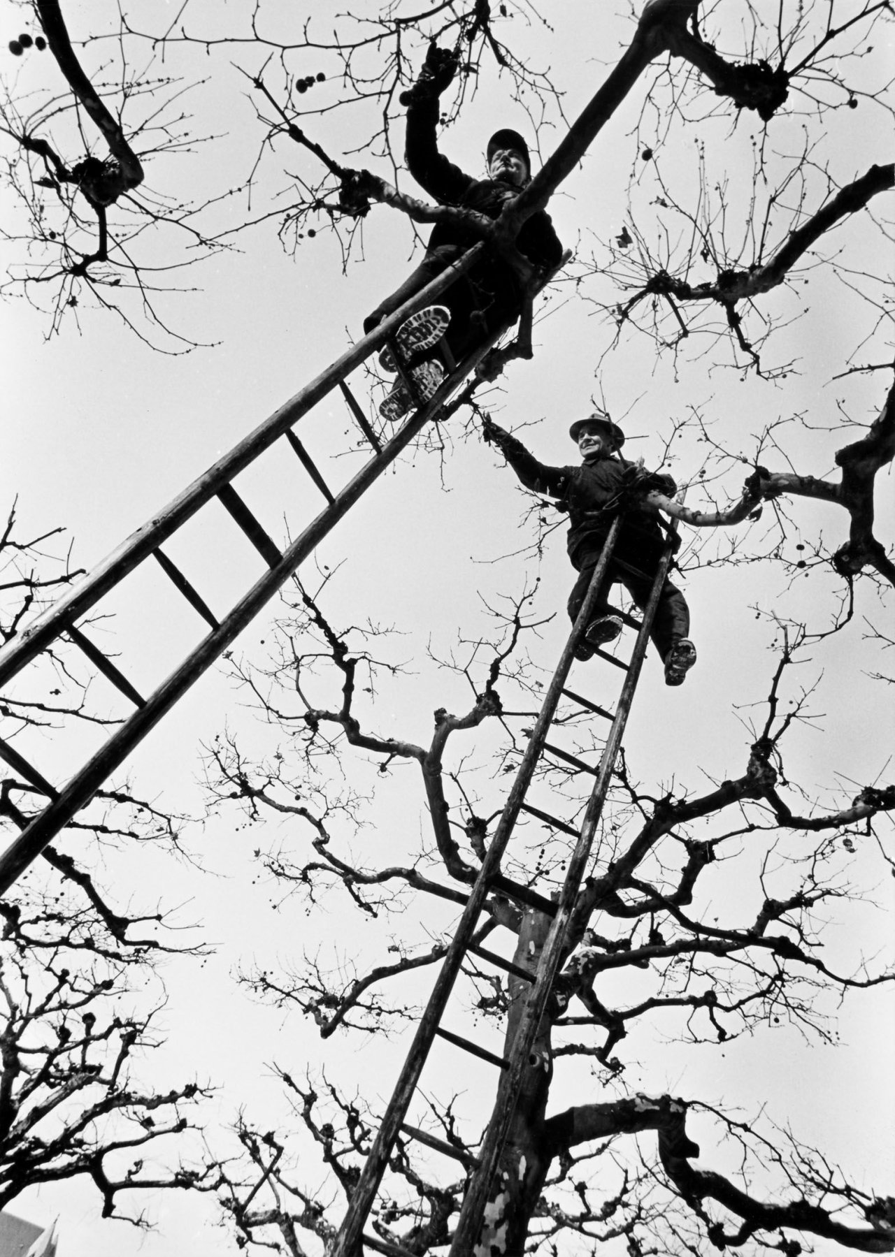 Auf diesem Bild ist das folgende Kunstwerk zu sehen:  Wolff & Tritschler (Dr. Paul Wolff & Alfred Tritschler). Ohne Titel. Vermutlich 1930er Jahre.
