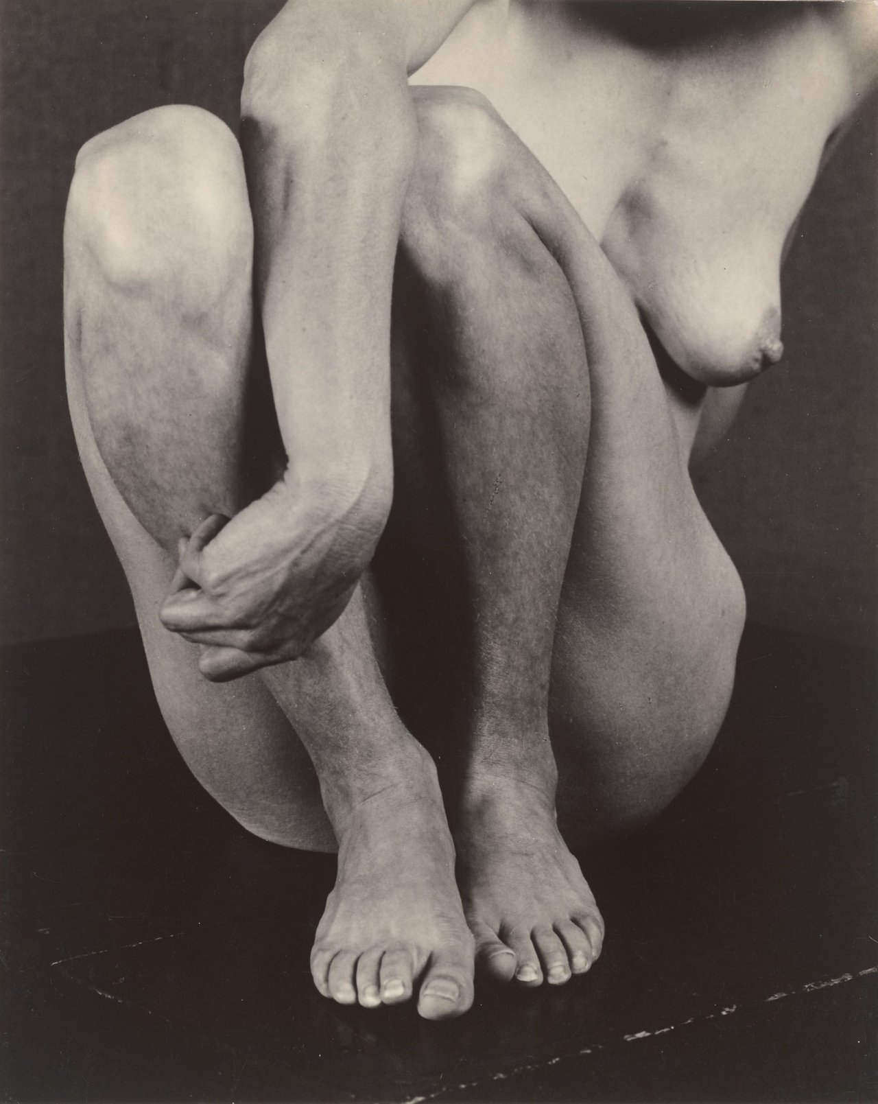 Auf diesem Bild ist das folgende Kunstwerk zu sehen: Edward Weston. Nude (Sonya Noskowiak). 1934.