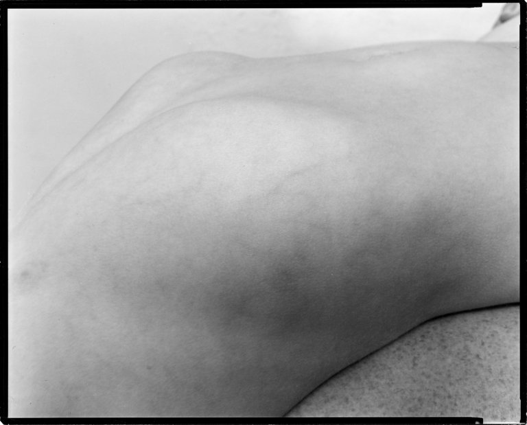 Auf diesem Bild ist das folgende Kunstwerk zu sehen: Nicholas Nixon. „Cambridge“, aus der Serie „Family pictures“. 1986.
