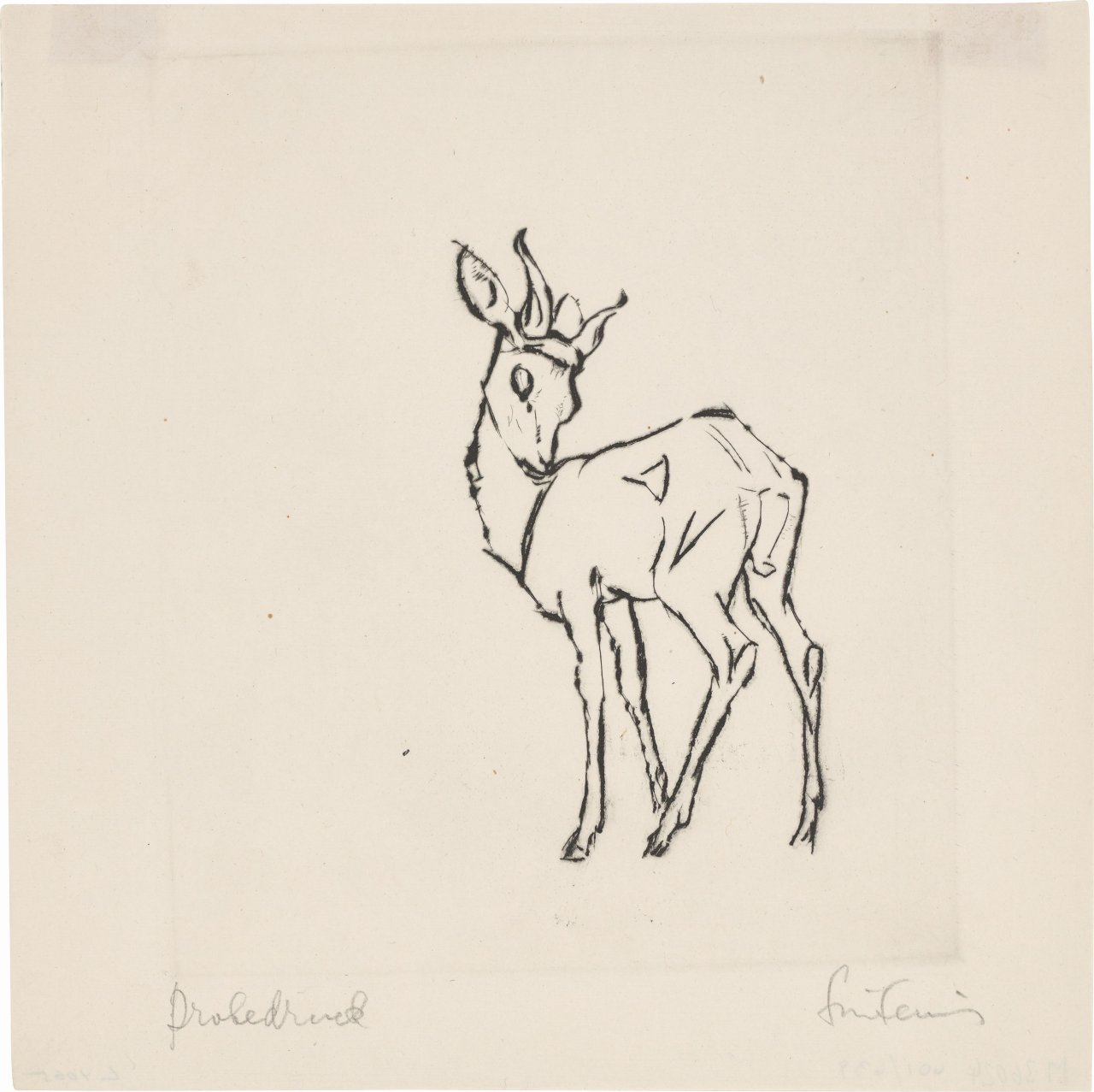Auf diesem Bild ist das folgende Kunstwerk zu sehen: Renée Sintenis. Stehende Antilope, mit rückwärtsgewandtem Kopf.