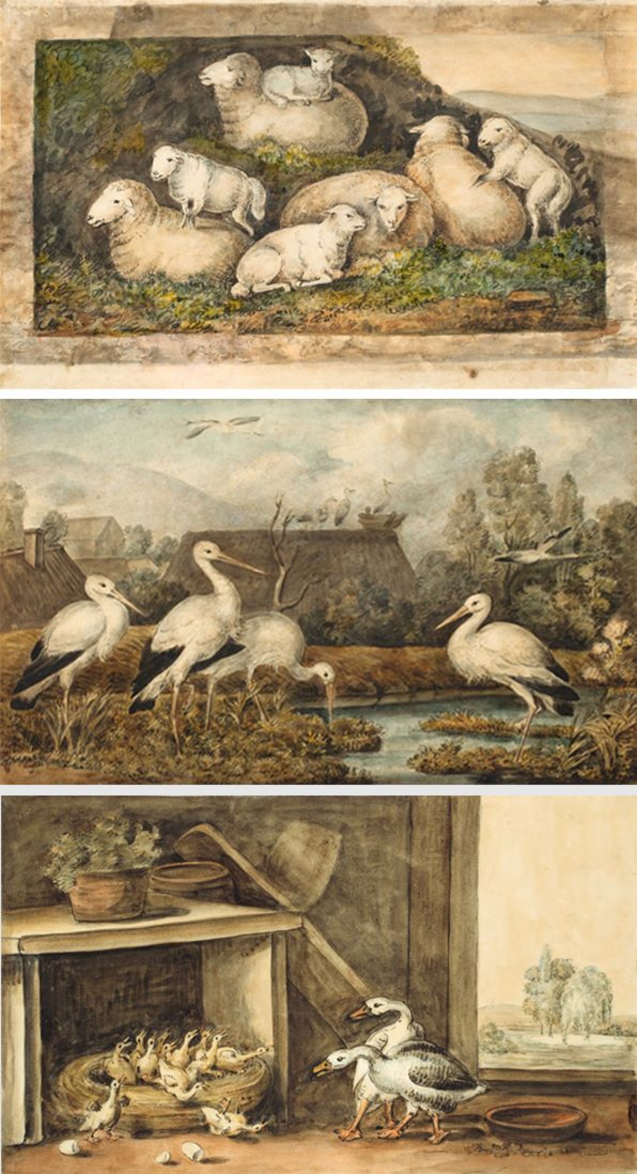 Auf diesem Bild ist das folgende Kunstwerk zu sehen: Johann Heinrich Wilhelm Tischbein. „Schafe (Studie zum Oldenburger ,Idyllen-Zyklus‘)“ / „Störche in norddeutscher Landschaft“ / „Ganterich Zarthold und Gans mit Nachwuchs“. Um 1810/20.
