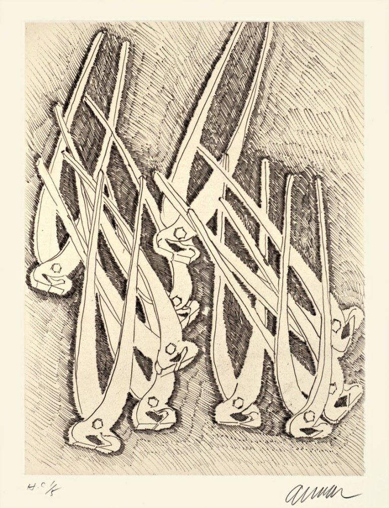 Auf diesem Bild ist das folgende Kunstwerk zu sehen:  Arman. „Valeurs de Noirs, Prey Mantis“. 1980.
