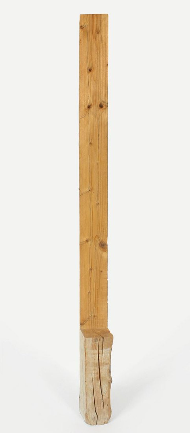 Auf diesem Bild ist das folgende Kunstwerk zu sehen: Giuseppe Penone. Ohne Titel. 1982.
