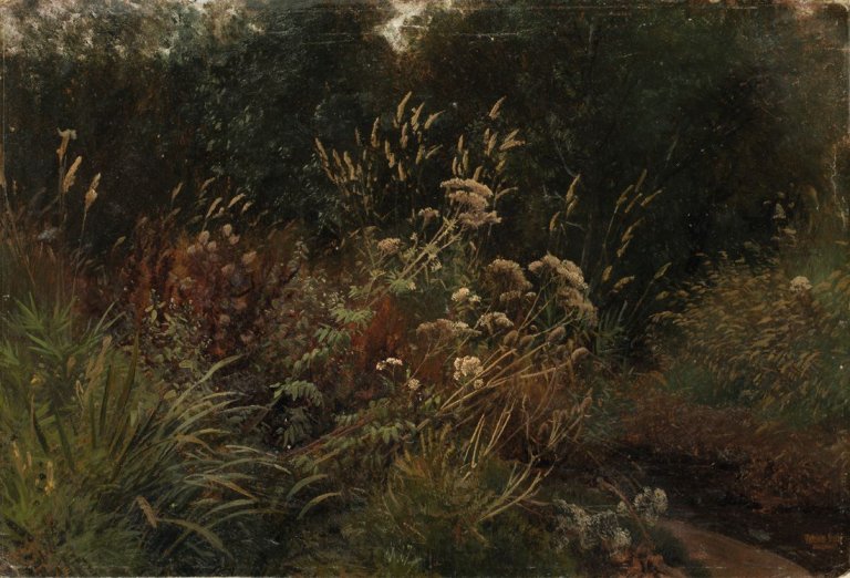 Auf diesem Bild ist das folgende Kunstwerk zu sehen: Valentin Ruths. Pflanzenstudie. 1871 (?).