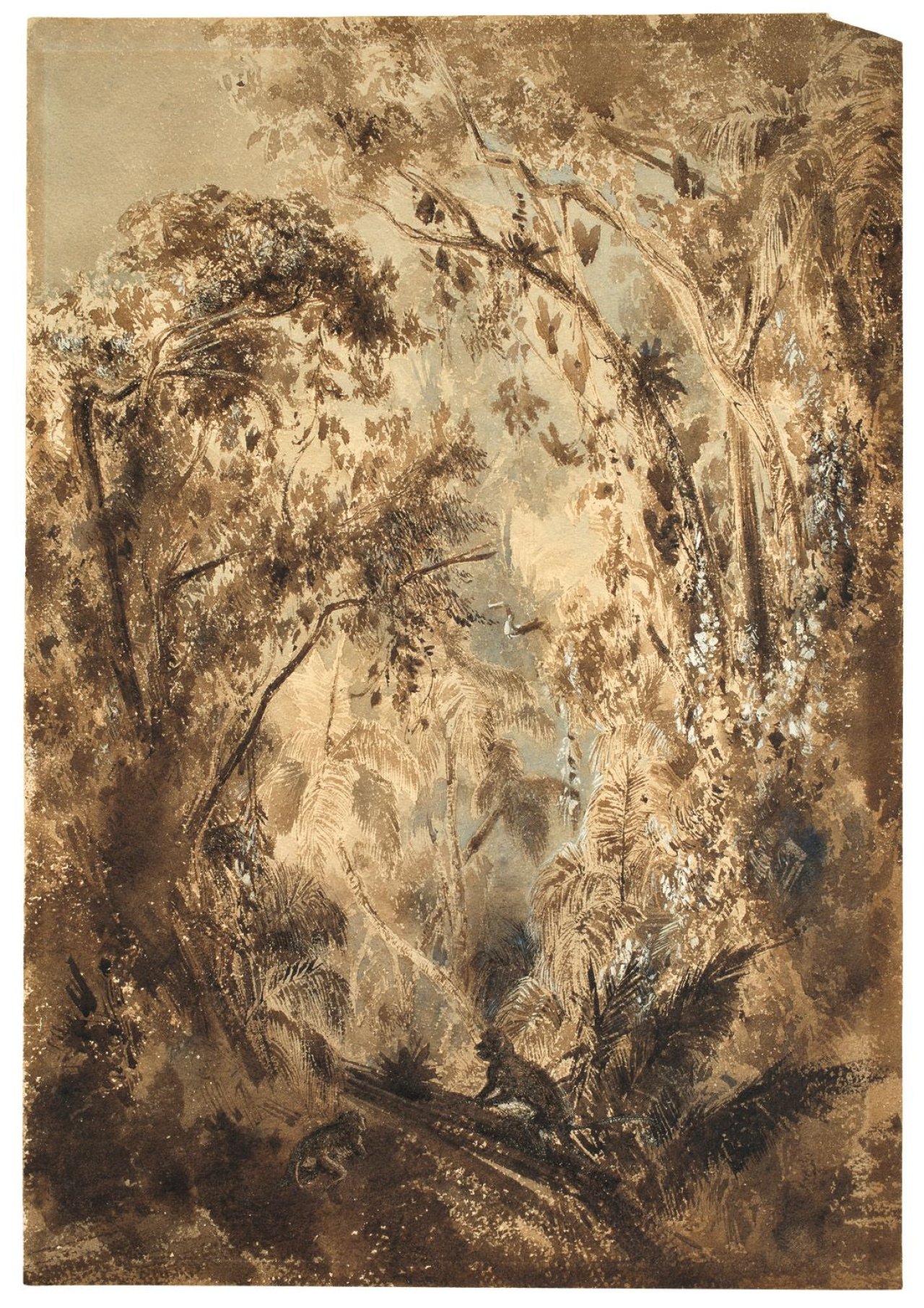 Auf diesem Bild ist das folgende Kunstwerk zu sehen: Albert Berg. Tropenwald bei Quindiu in den Anden. 1849/50.