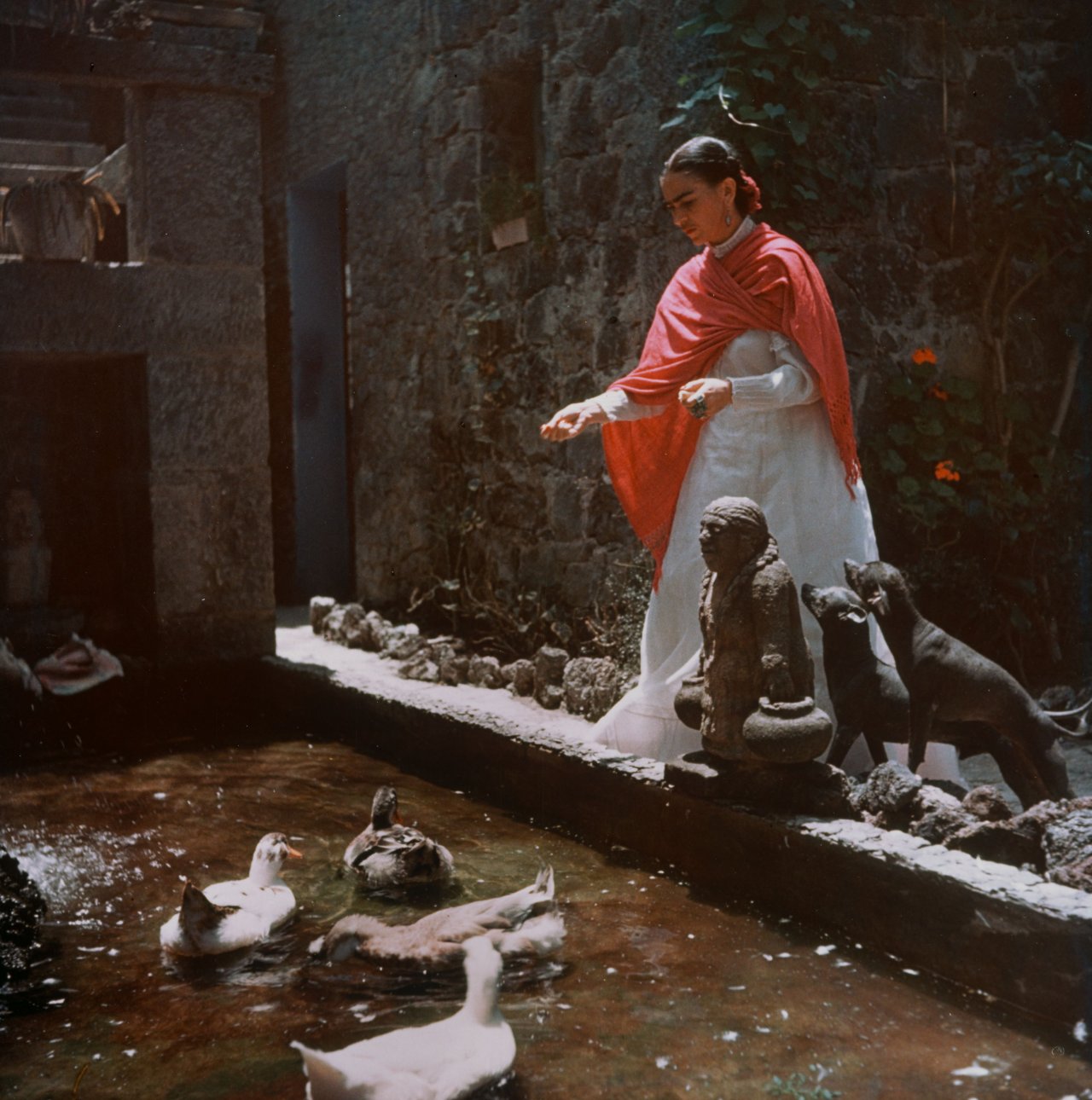 Auf diesem Bild ist das folgende Kunstwerk zu sehen: Gisèle Freund. Frida Kahlo in ihrem Garten, Coyoacan, Mexico City. Um 1948.