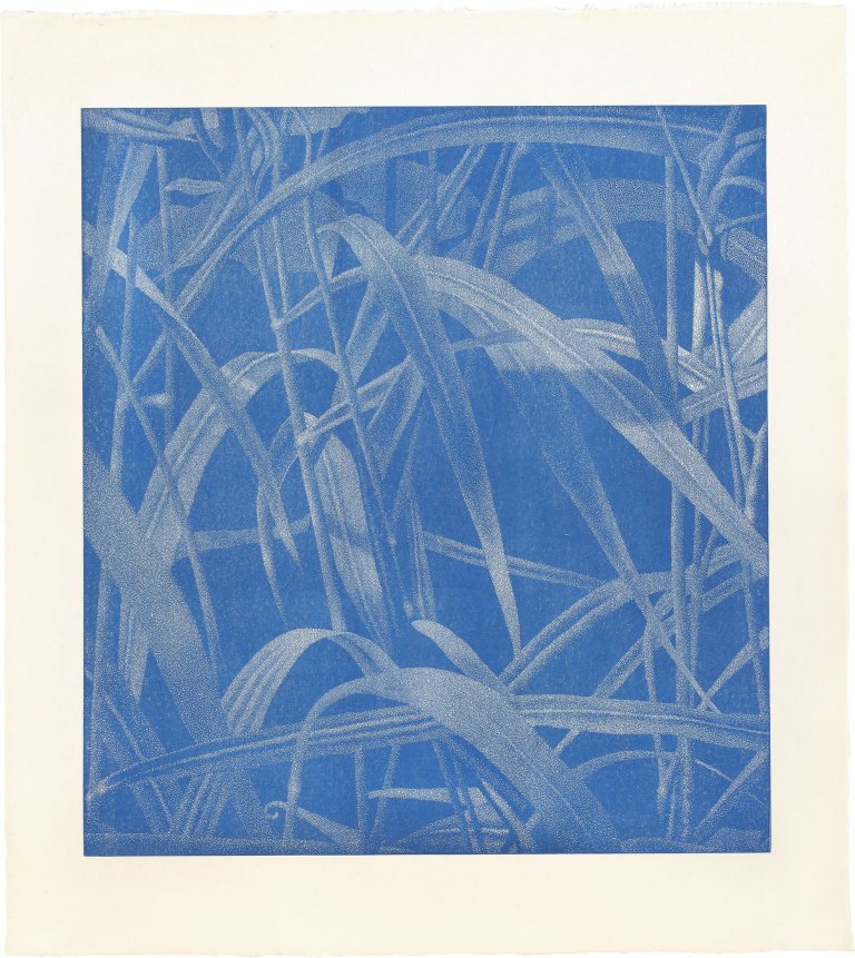 Auf diesem Bild ist das folgende Kunstwerk zu sehen: Franz Gertsch. Gräser I. 1999/2000.