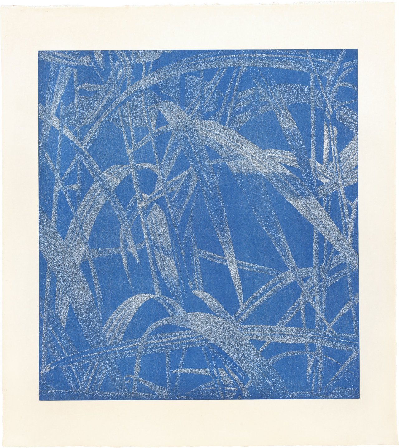 Auf diesem Bild ist das folgende Kunstwerk zu sehen: Franz Gertsch. Gräser I. 1999/2000.