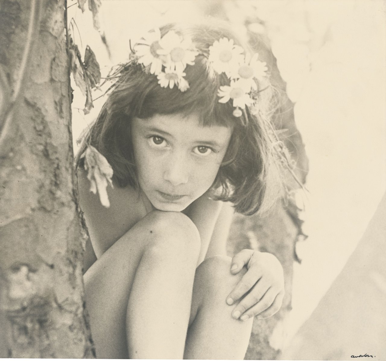Auf diesem Bild ist das folgende Kunstwerk zu sehen: Richard Avedon. Child, New York. 1950.