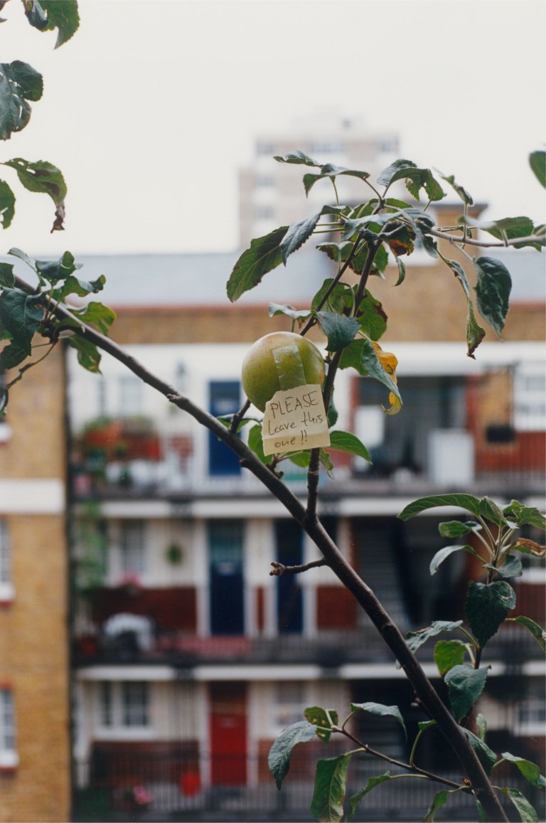 Auf diesem Bild ist das folgende Kunstwerk zu sehen: Wolfgang Tillmans. Please leave this one (day + night). 2002.