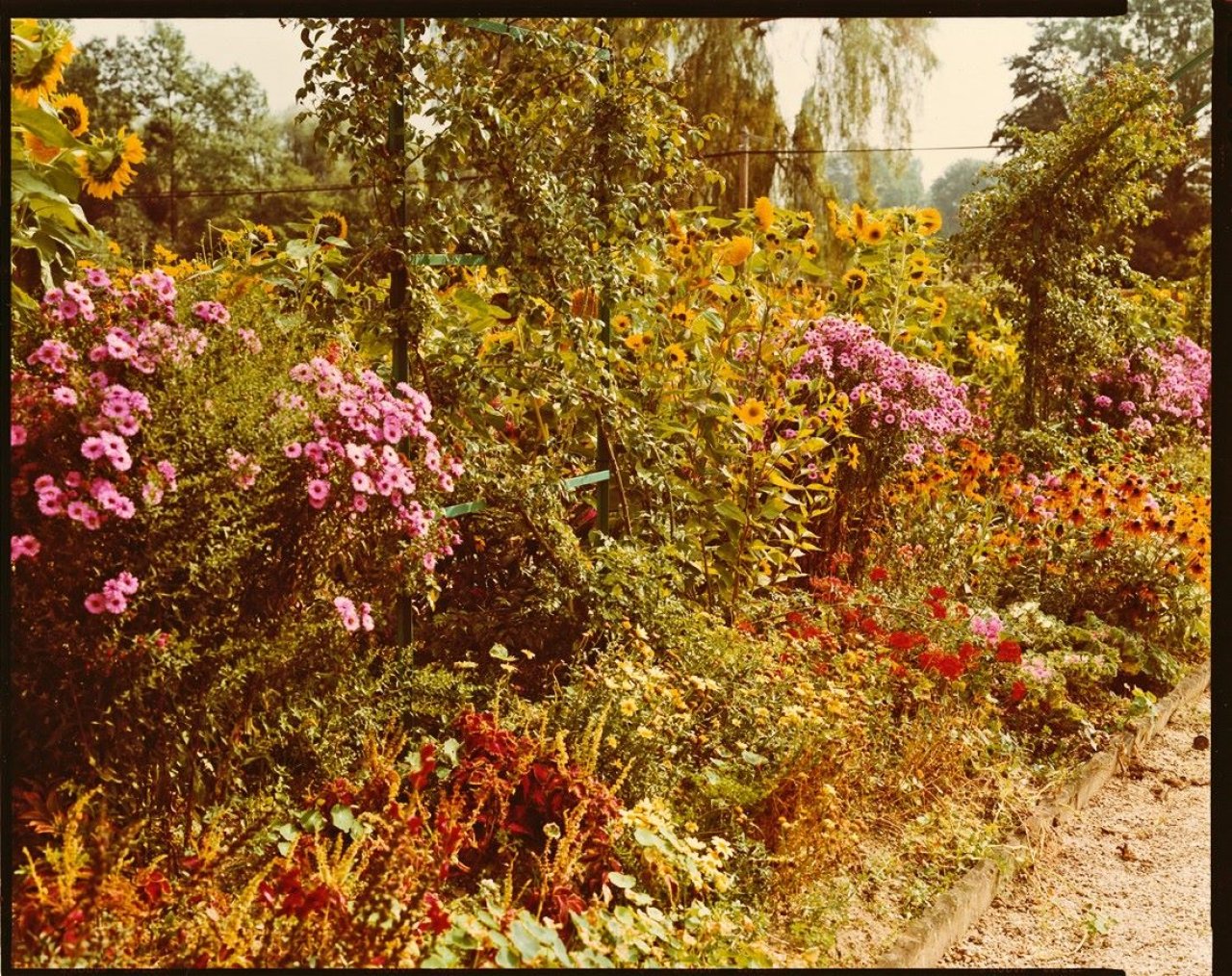 Auf diesem Bild ist das folgende Kunstwerk zu sehen: Stephen Shore. Giverny, France. 1977.
