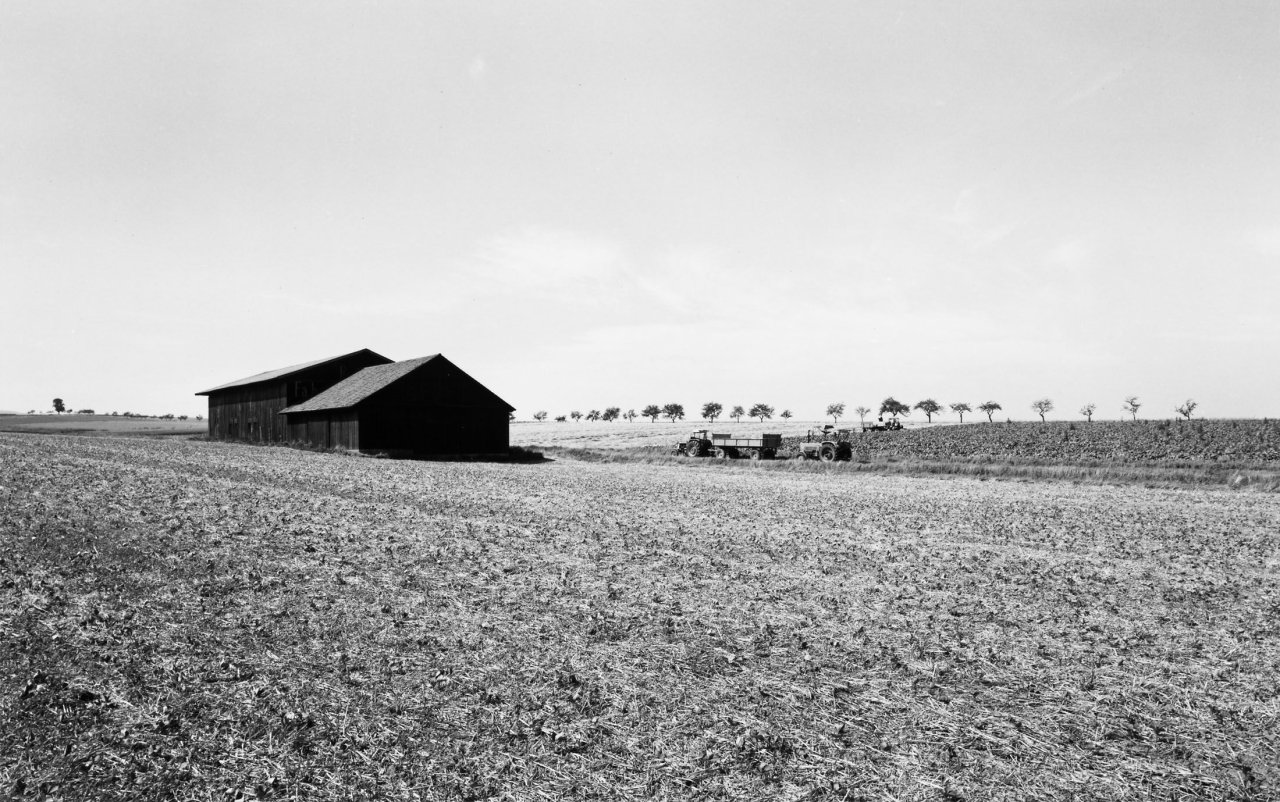 Auf diesem Bild ist das folgende Kunstwerk zu sehen: Heinrich Riebesehl. „Drüber (Northeim), Aug. 78“, aus der Serie „Agrarlandschaften“. 1978.
