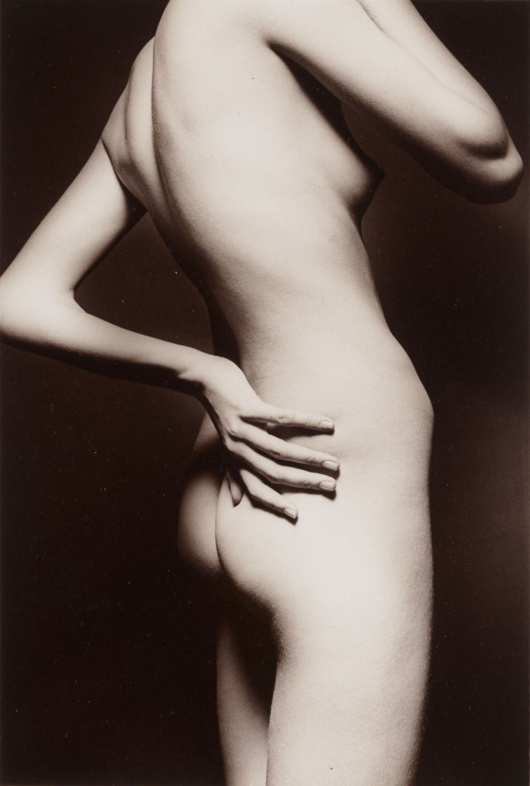 Auf diesem Bild ist das folgende Kunstwerk zu sehen: Jeanloup Sieff. Nu coupé. 1967.