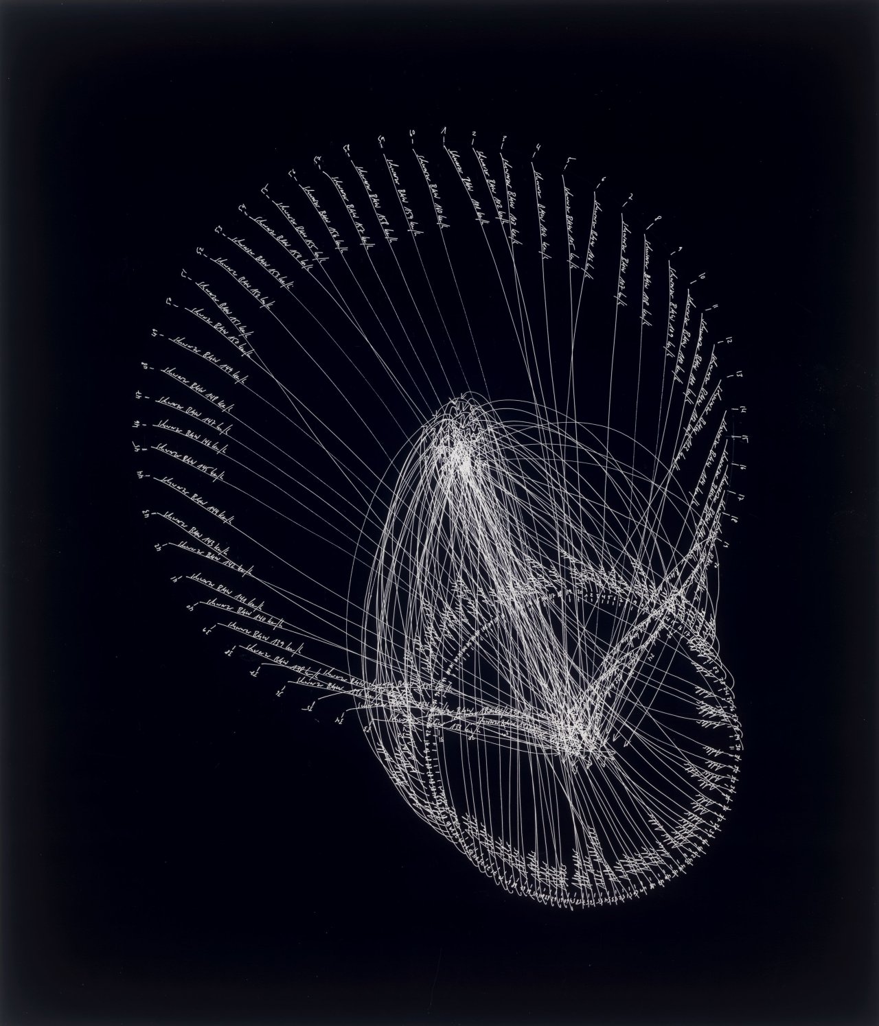 Auf diesem Bild ist das folgende Kunstwerk zu sehen: Jorinde Voigt. „Partitur für 60 schwarze BMW (110-160 km/h), 120 Adler“. 2006.