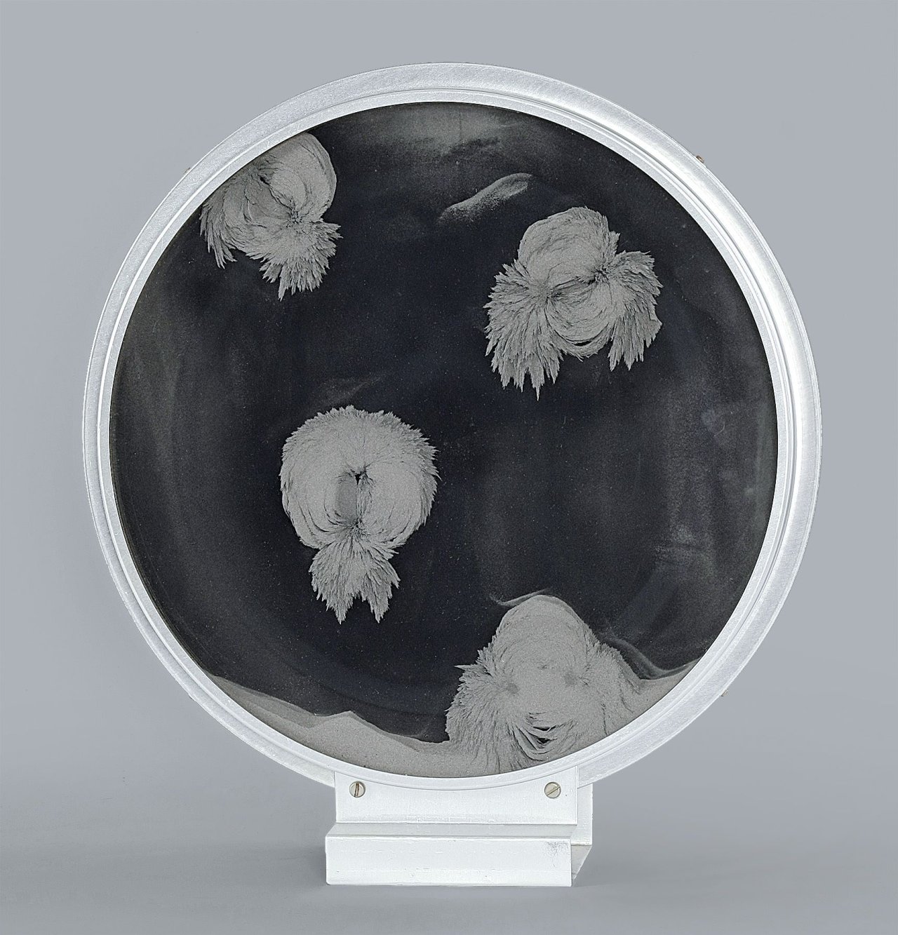 Auf diesem Bild ist das folgende Kunstwerk zu sehen: Davide Boriani. Ohne Titel (Objekt mit Magnet). 1965.