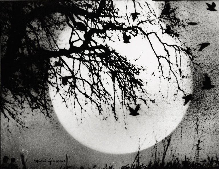 Auf diesem Bild ist das folgende Kunstwerk zu sehen: Mario Giacomelli. Ohne Titel, aus der Serie „Caroline Branson, da Spoon River“. 1971–1973.