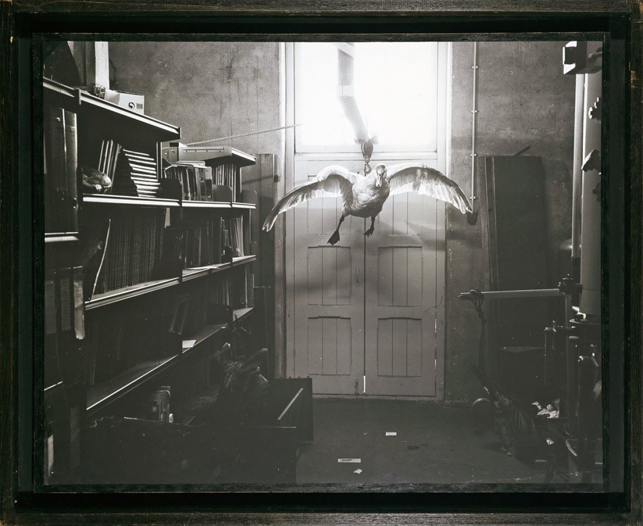Auf diesem Bild ist das folgende Kunstwerk zu sehen: Albin Biblom. Ohne Titel (Schwan) aus: „The Journals of Jacob Mandeville, Journal III: Heaven and its Inhabitants (1962–1965)“. 2001.