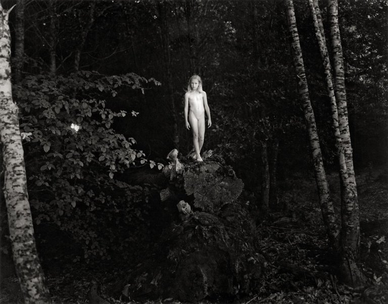 Auf diesem Bild ist das folgende Kunstwerk zu sehen: Jock Sturges. „Haley; Northern California“. 1995.
