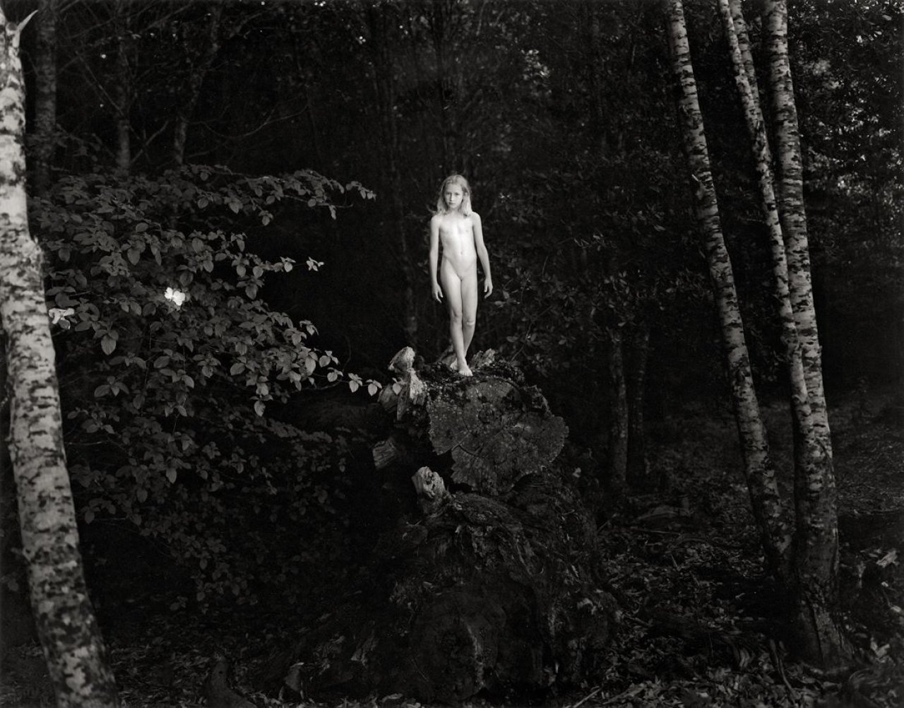 Auf diesem Bild ist das folgende Kunstwerk zu sehen: Jock Sturges. „Haley; Northern California“. 1995.