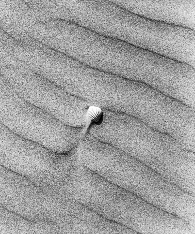 Auf diesem Bild ist das folgende Kunstwerk zu sehen: Toni Schneiders. „Wellen im Sand (Jütland)“. 1967.