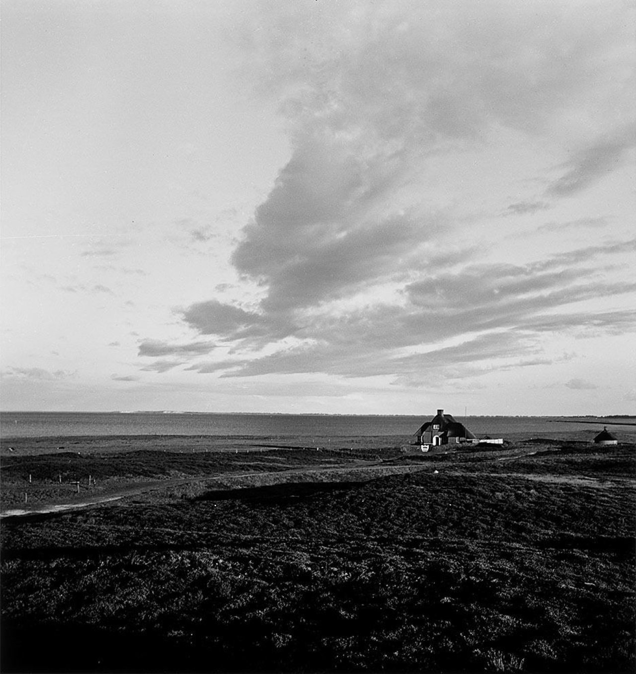 This picture shows the following artwork: Bleicke Bleicken. Large Heath - Few Houses (Kampen). Circa 1953.