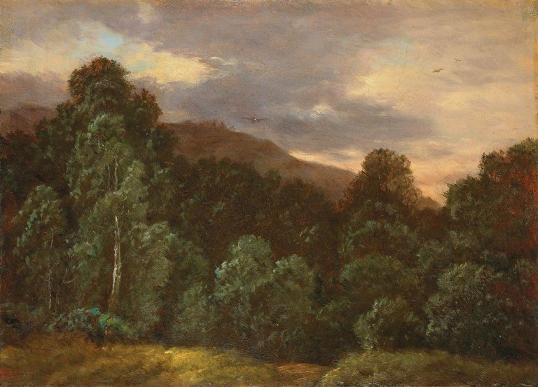 This picture shows the following artwork: Carl Gustav Carus. „Laubwald. Landschaft mit Vögeln und Bäumen“.