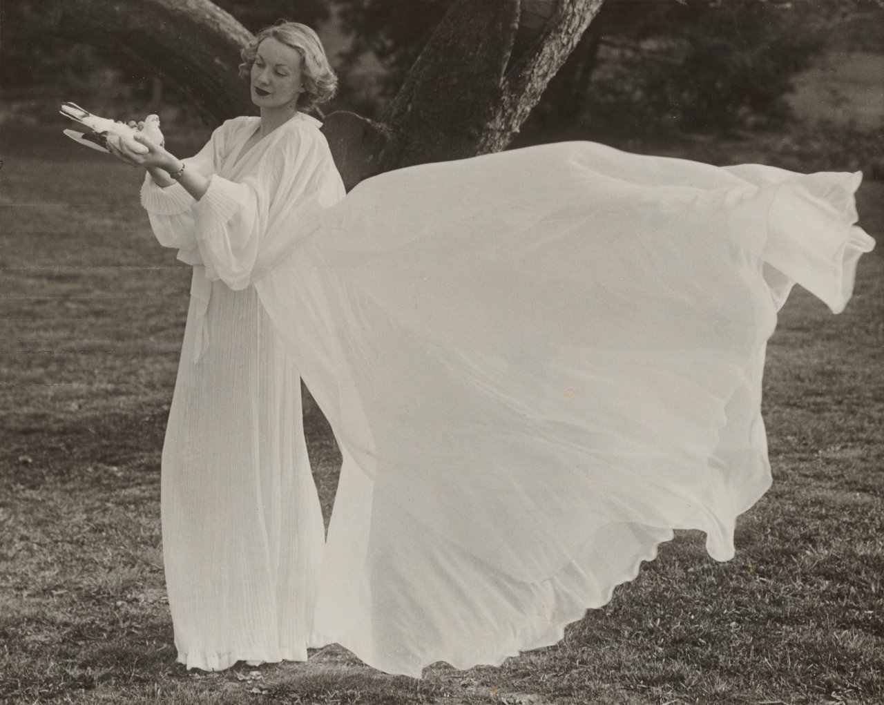 Auf diesem Bild ist das folgende Kunstwerk zu sehen: Martin Munkácsi (d.i. Márton Memelstein). Peignoir with Dove. 1936.