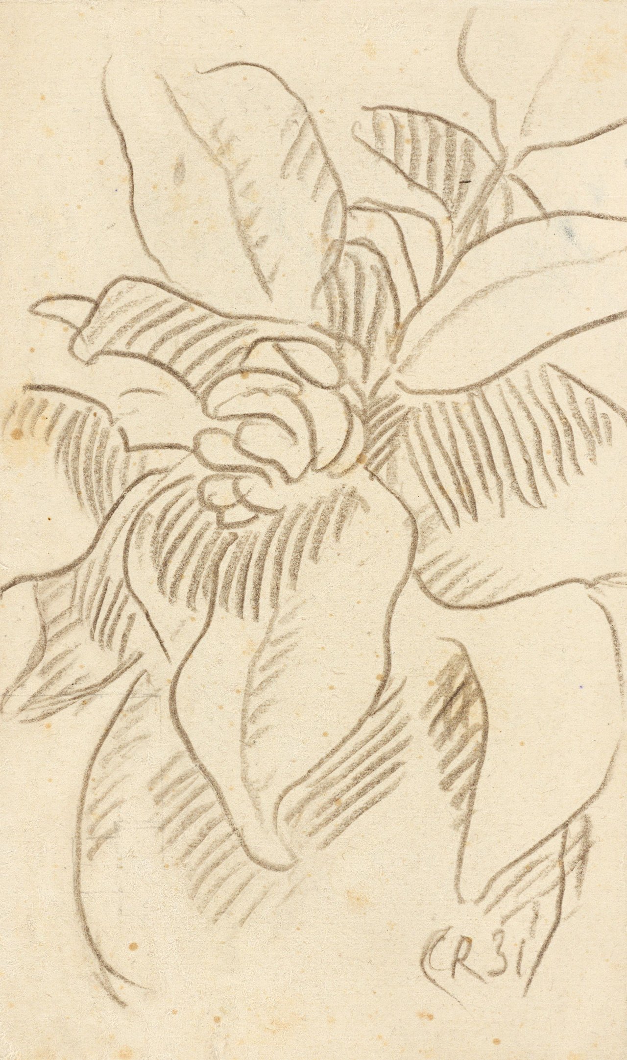 Auf diesem Bild ist das folgende Kunstwerk zu sehen: Christian Rohlfs. Blüte. 1931.
