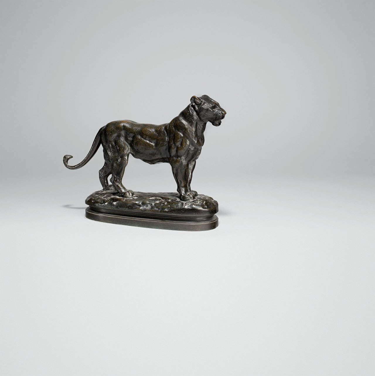 Catalog image of Lionne d'Algerie.