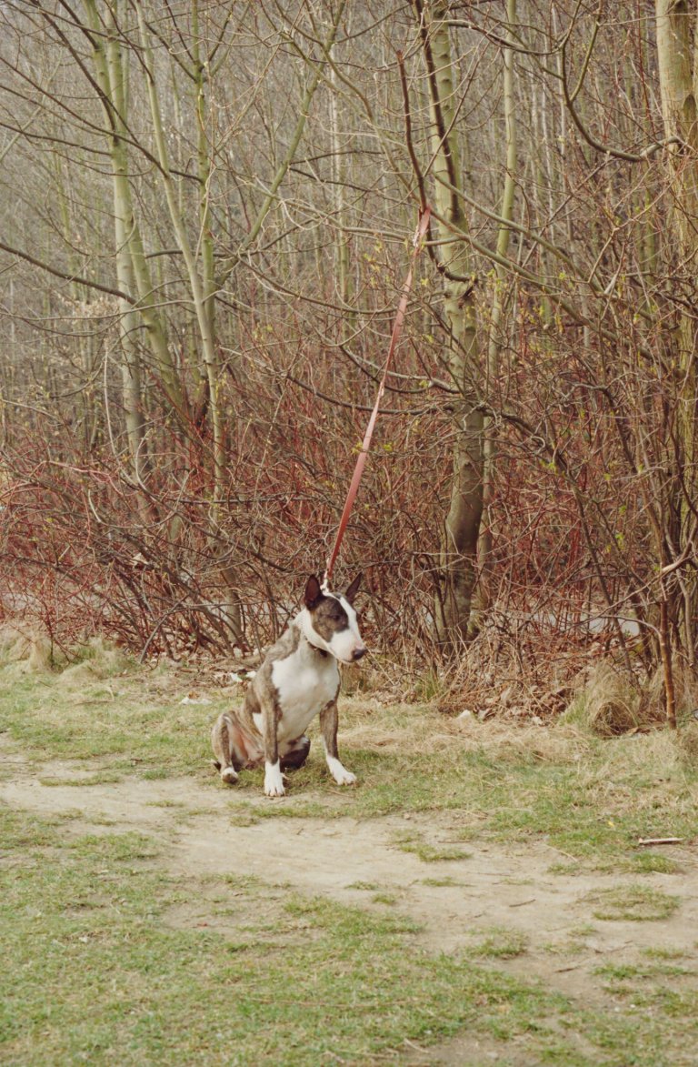 Auf diesem Bild ist das folgende Kunstwerk zu sehen: Jitka Hanzlová. Ohne Titel, aus: „Bewohner“. 1994.