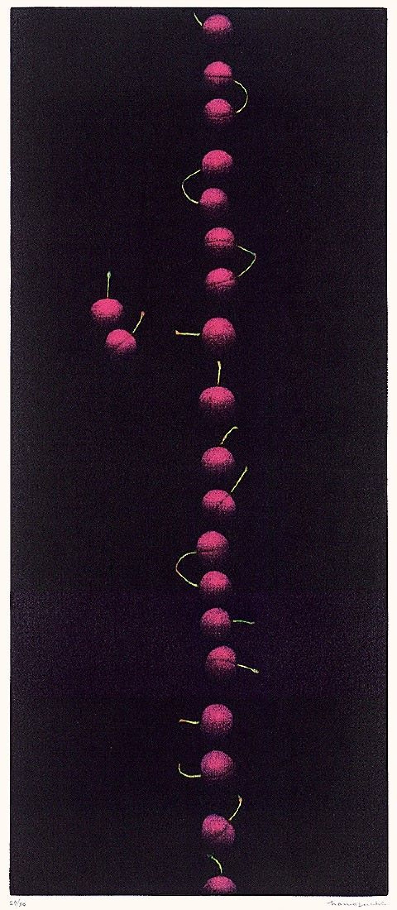 Auf diesem Bild ist das folgende Kunstwerk zu sehen: Yōzō Hamaguchi. Twenty one Cherries. 1988.
