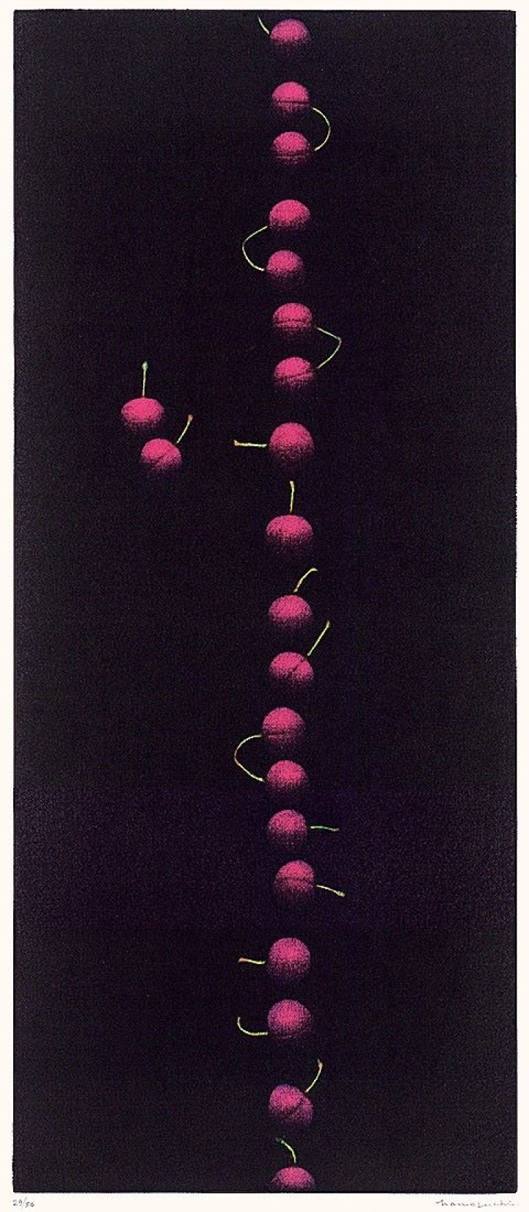 Auf diesem Bild ist das folgende Kunstwerk zu sehen: Yōzō Hamaguchi. Twenty one Cherries. 1988.