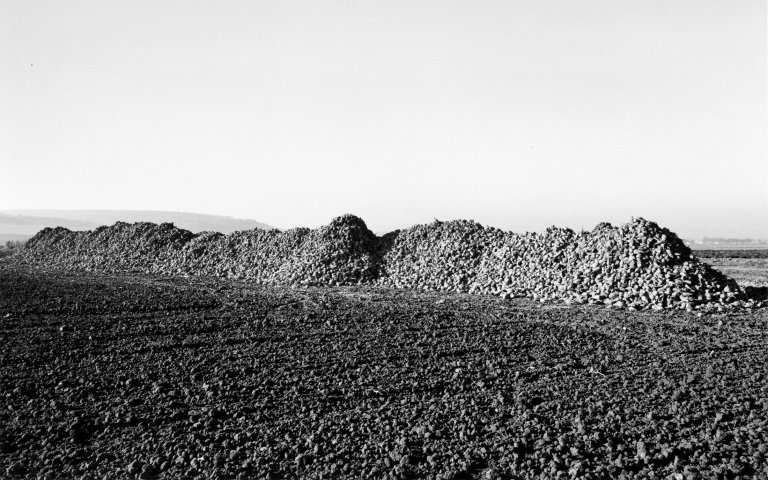 Auf diesem Bild ist das folgende Kunstwerk zu sehen: Heinrich Riebesehl. „Schmarrie (Schaumburg), November 78“, aus der Serie „Agrarlandschaften“, 1976–1979. 1978.