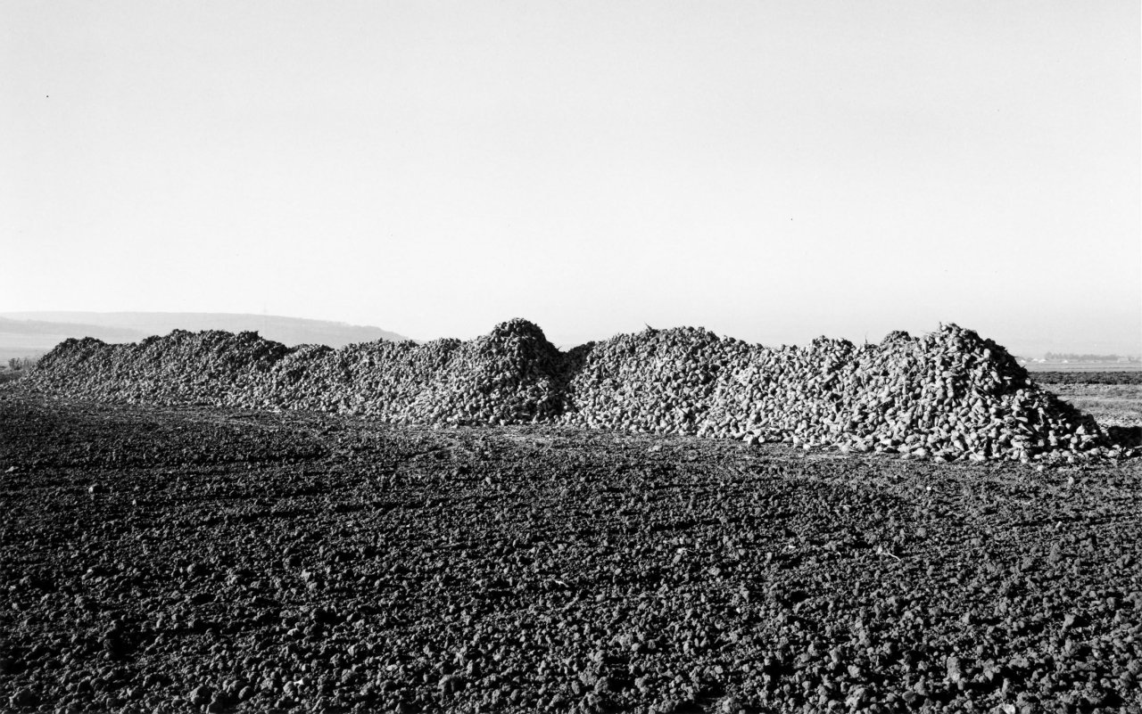 This picture shows the following artwork: Heinrich Riebesehl. „Schmarrie (Schaumburg), November 78“, from the series „Agrarlandschaften“, 1976–1979. 1978.
