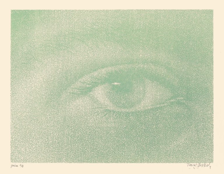 Auf diesem Bild ist das folgende Kunstwerk zu sehen: Franz Gertsch. „Dominiques Auge“. 1988.