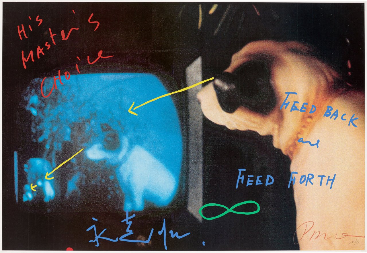 Auf diesem Bild ist das folgende Kunstwerk zu sehen: Nam June Paik. „TV – Dog“. 1994.