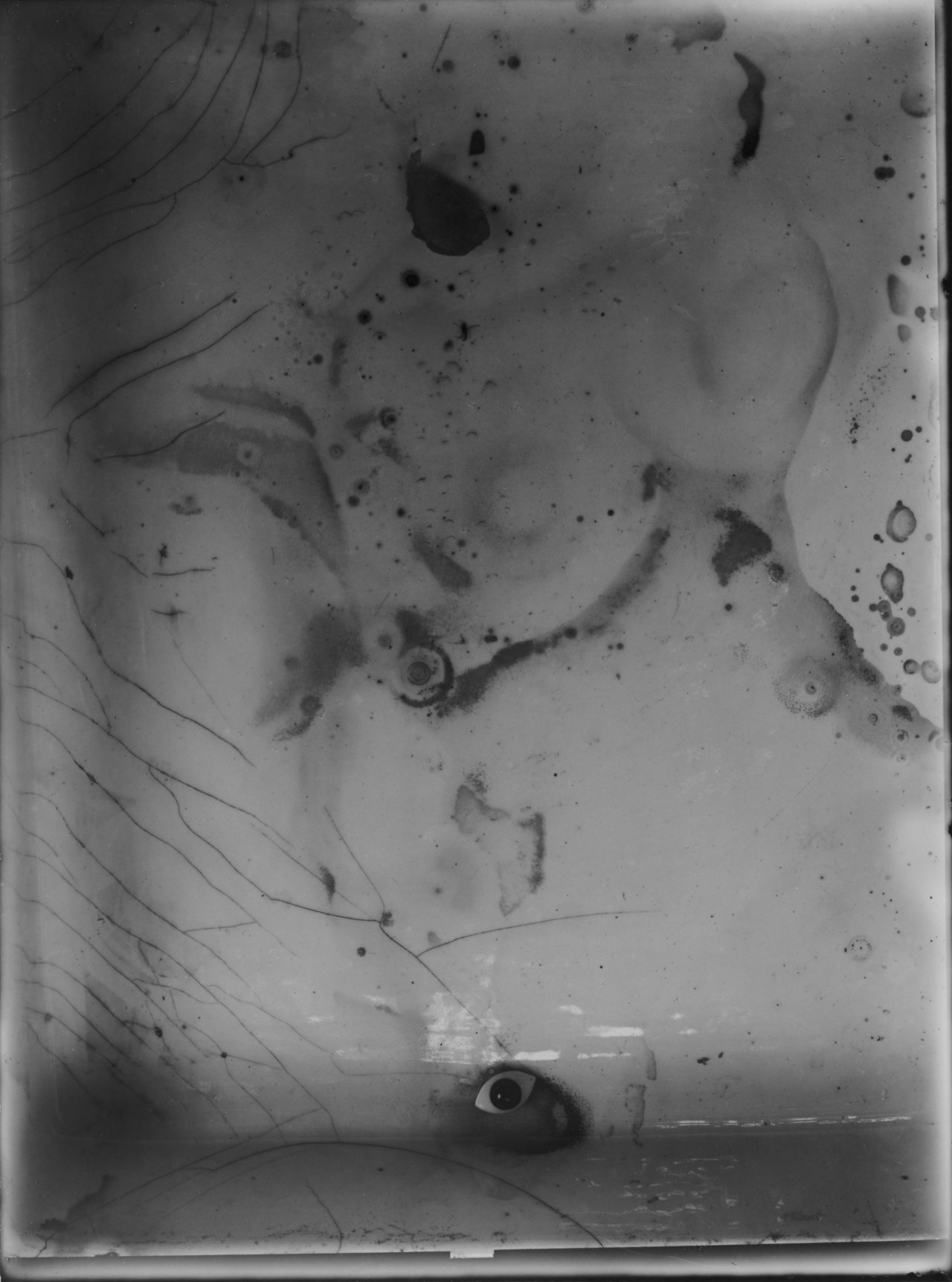 Auf diesem Bild ist das folgende Kunstwerk zu sehen: Josef Sudek. Aus dem Zyklus „Erinnerungen“, 1948–64.