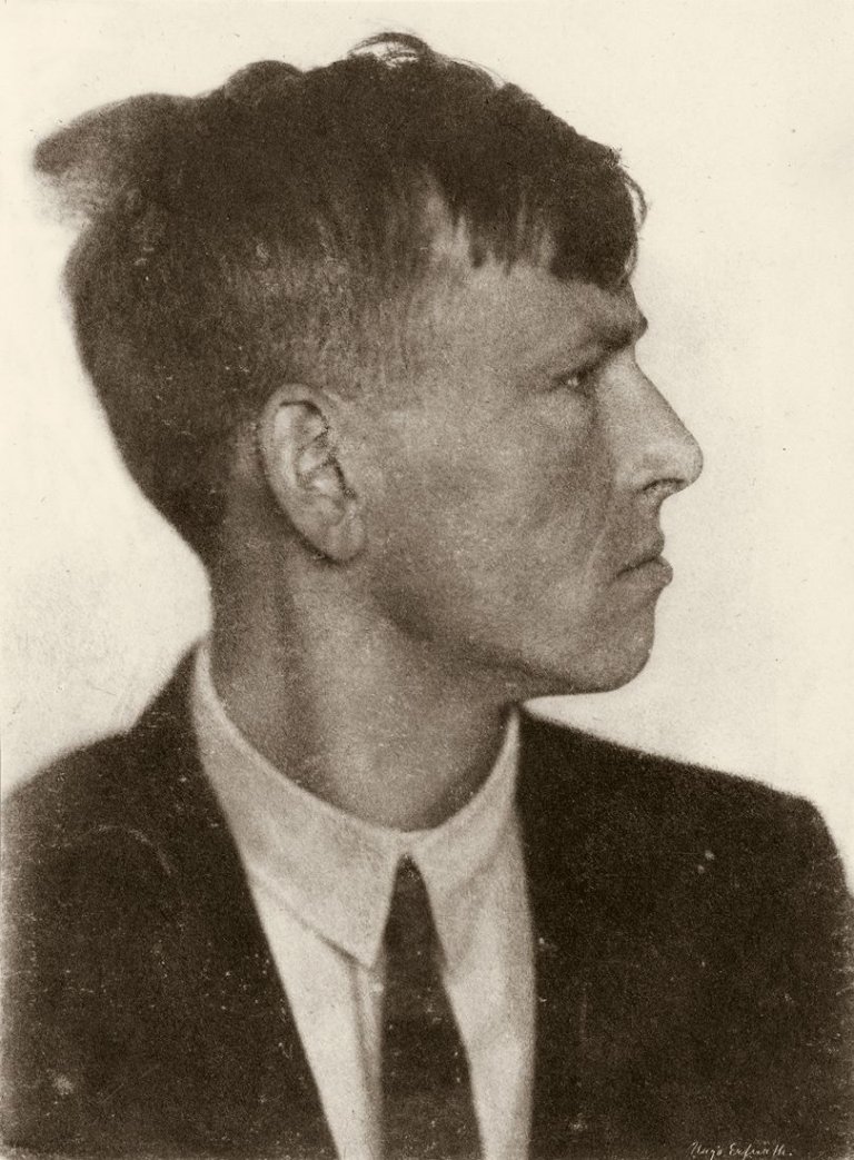 Auf diesem Bild ist das folgende Kunstwerk zu sehen: Hugo Erfurth. Otto Dix im Profil. 1920.