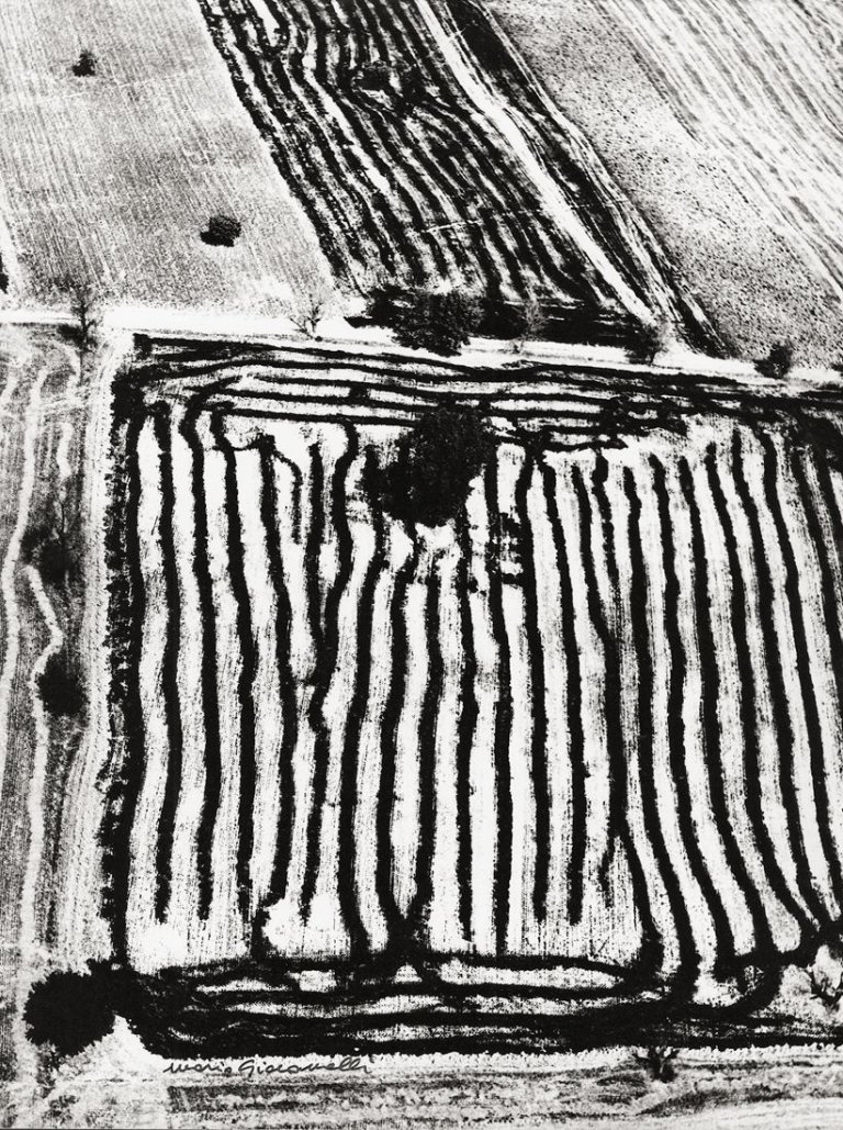 Auf diesem Bild ist das folgende Kunstwerk zu sehen: Mario Giacomelli. Ohne Titel, aus der Serie „Presa di coscienza sulla natura“. 1978.