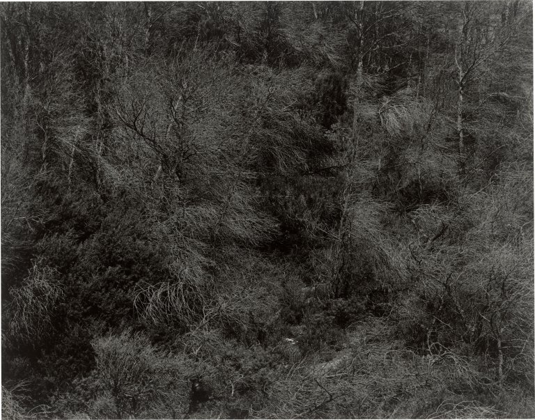 Auf diesem Bild ist das folgende Kunstwerk zu sehen: Harry Callahan. Aix-en-Provence, France. 1957.