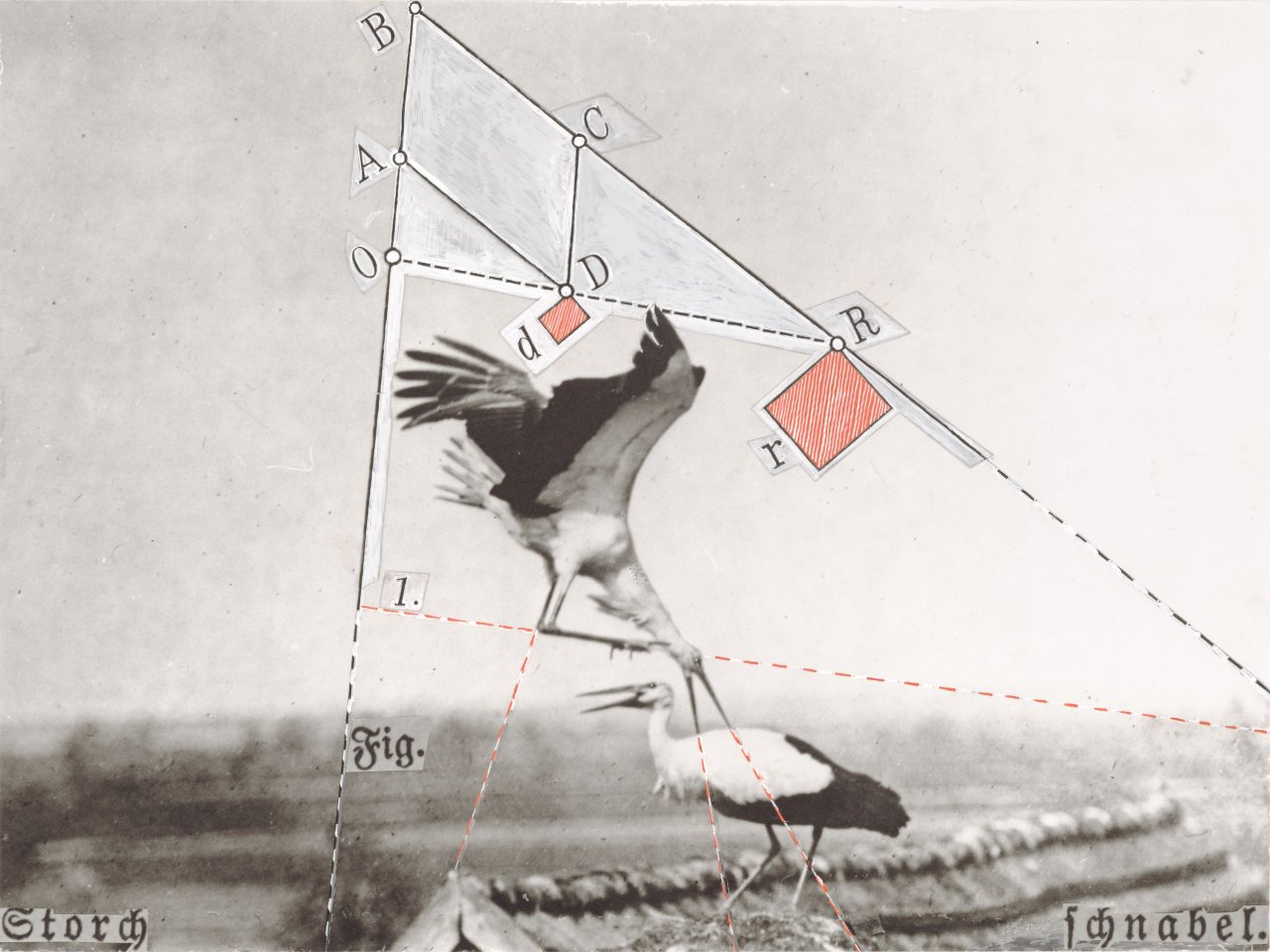 Auf diesem Bild ist das folgende Kunstwerk zu sehen: Werner Rohde. Schema Storch. Vermutlich 1950er Jahre.