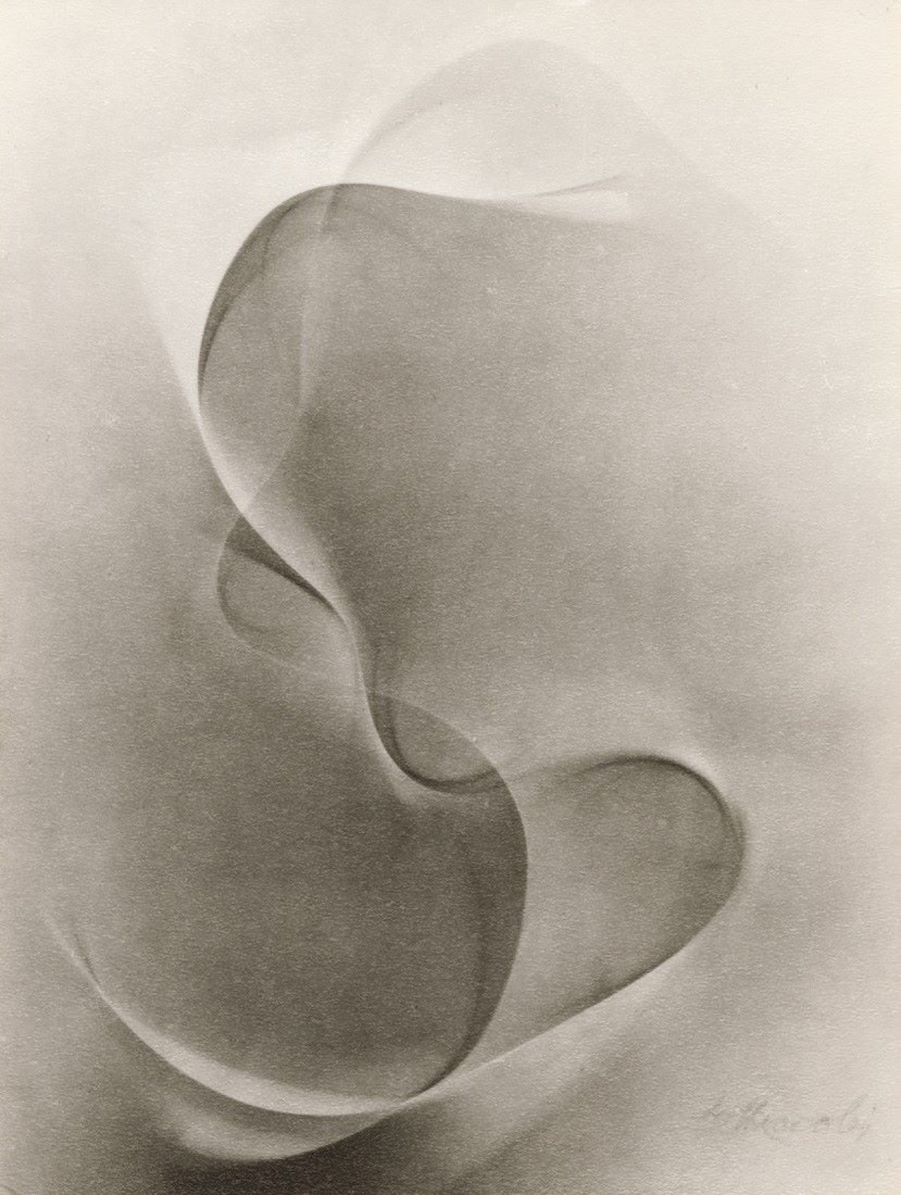 Auf diesem Bild ist das folgende Kunstwerk zu sehen: Lotte Jacobi. Photogenic. Um 1946–1955.